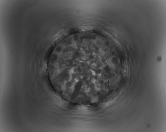 X0000100490523200806201655