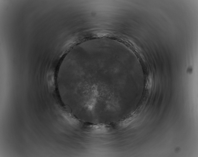 X0000100490524200806201655