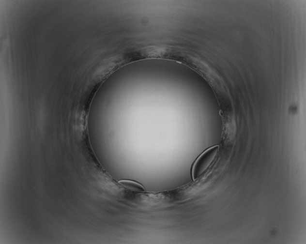 X0000100490525200806201655