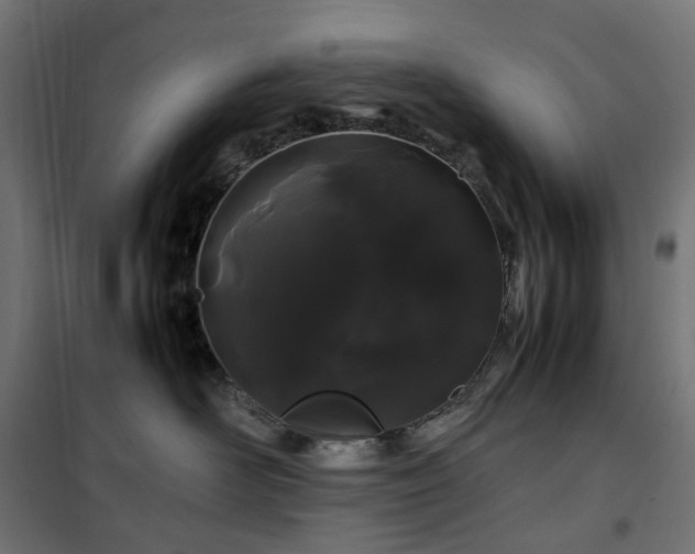 X0000100490526200806201655