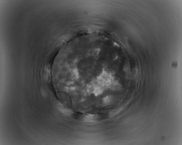 X0000100490527200806201655