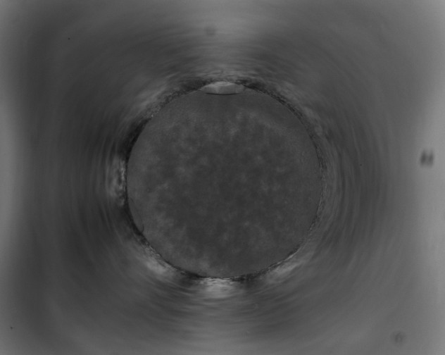 X0000100490528200806201655