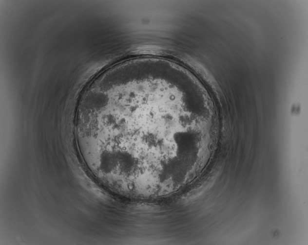 X0000100490529200806201655