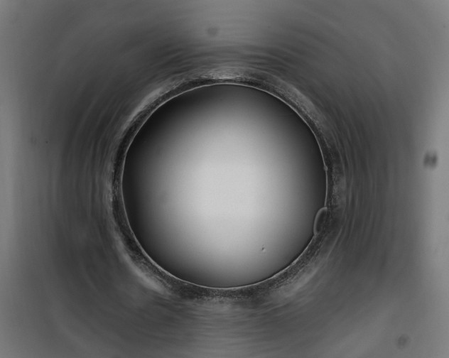 X0000100490530200806201655