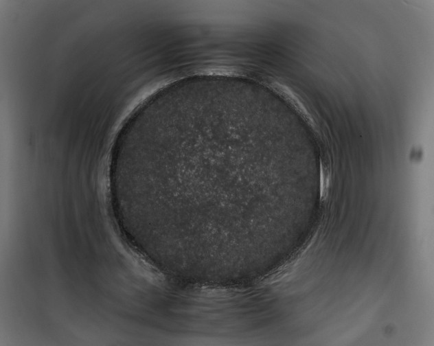 X0000100490531200806201655