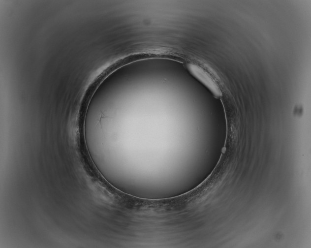 X0000100490532200806201655