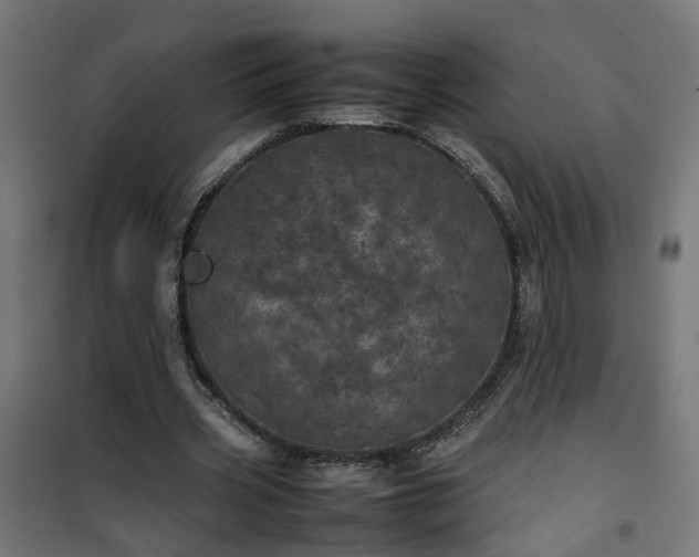 X0000100490533200806201655