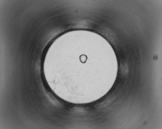 X0000100490534200806201655