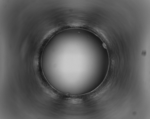 X0000100490539200806201655