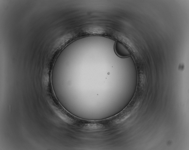 X0000100490541200806201655