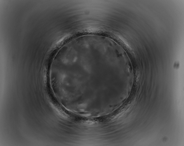 X0000100490542200806201655