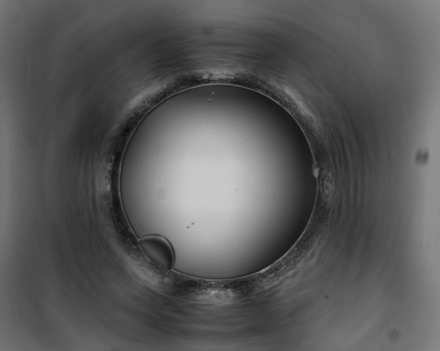 X0000100490543200806201655