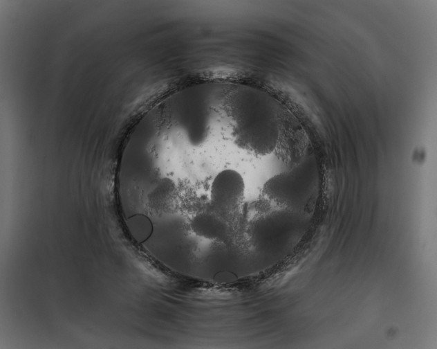 X0000100490545200806201655