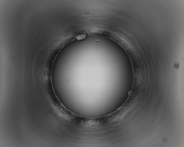 X0000100490546200806201655