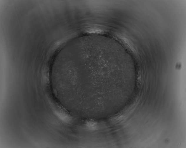 X0000100490547200806201655