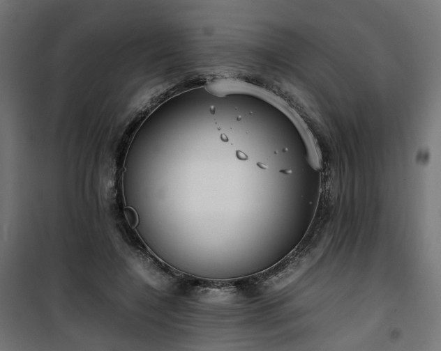 X0000100490548200806201655