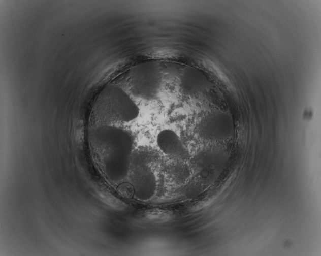 X0000100490549200806201655