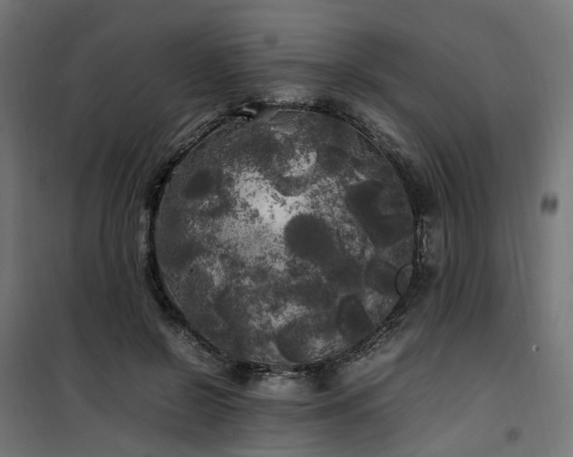 X0000100490550200806201655