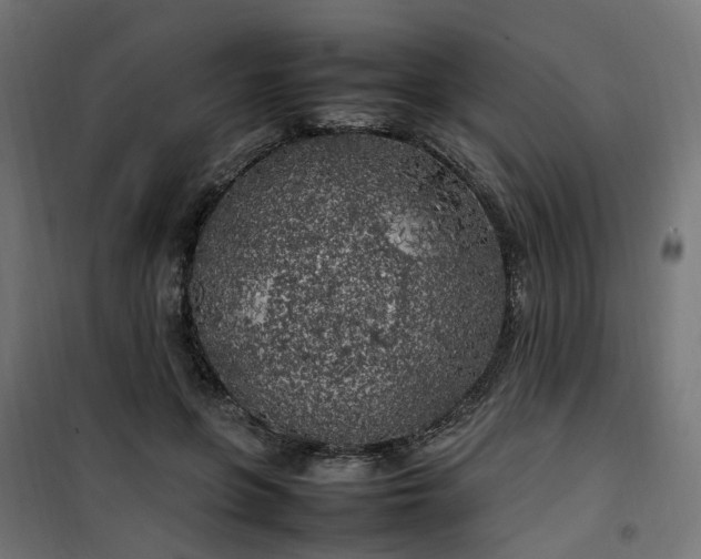 X0000100490551200806201655