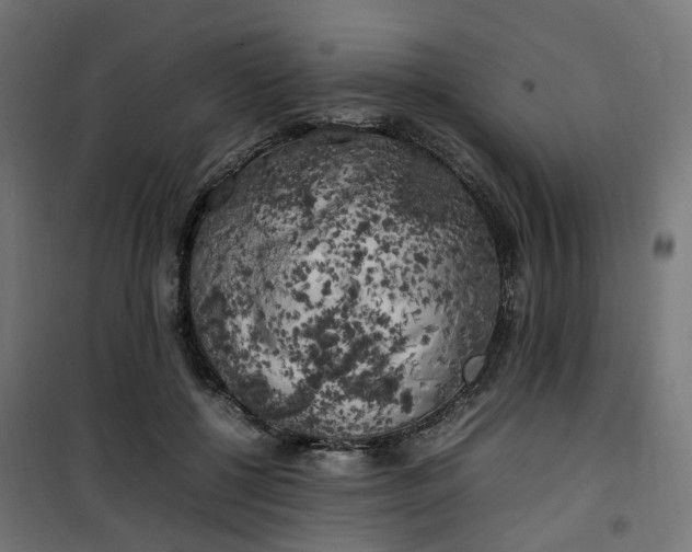 X0000100490552200806201655