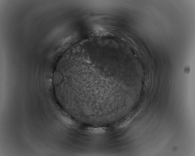 X0000100490553200806201655