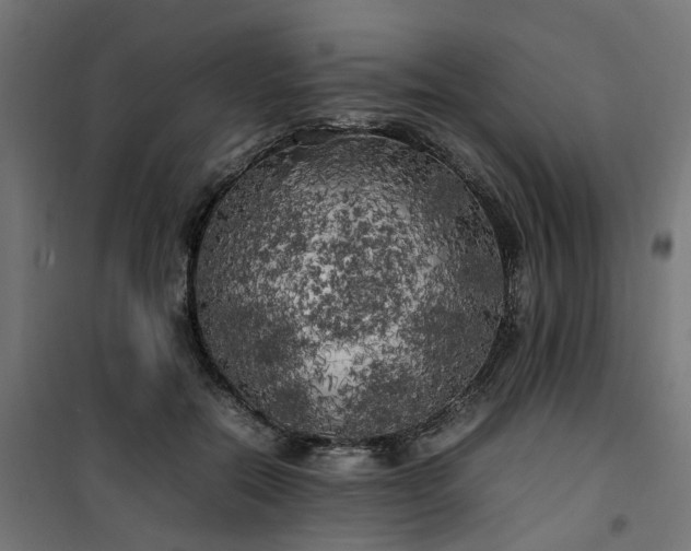 X0000100490554200806201655