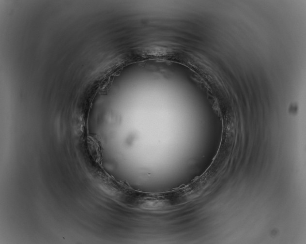 X0000100490555200806201655
