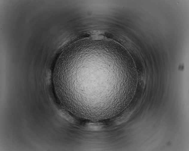 X0000100490556200806201655