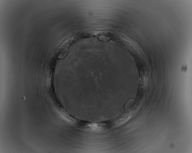 X0000100490558200806201655