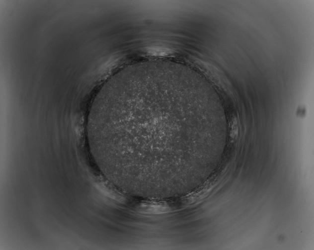 X0000100490559200806201655