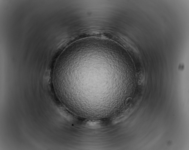 X0000100490560200806201655