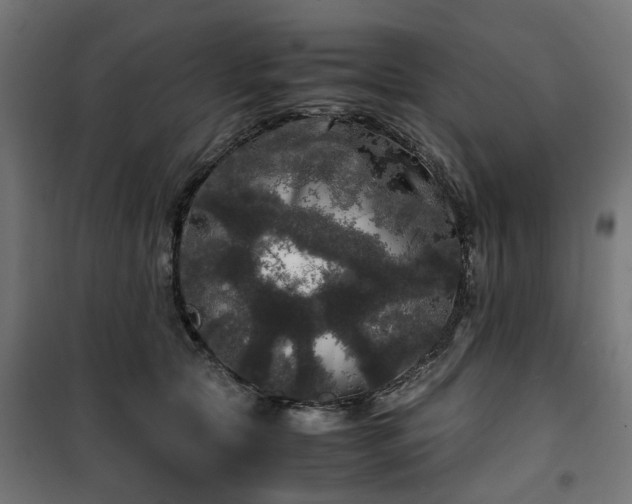 X0000100490561200806201655