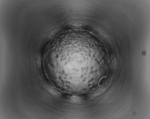 X0000100490562200806201655
