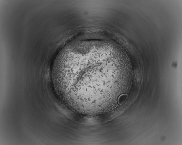 X0000100490564200806201655