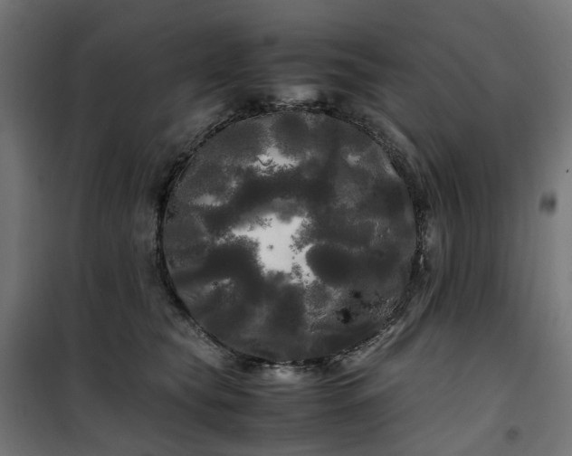 X0000100490565200806201655