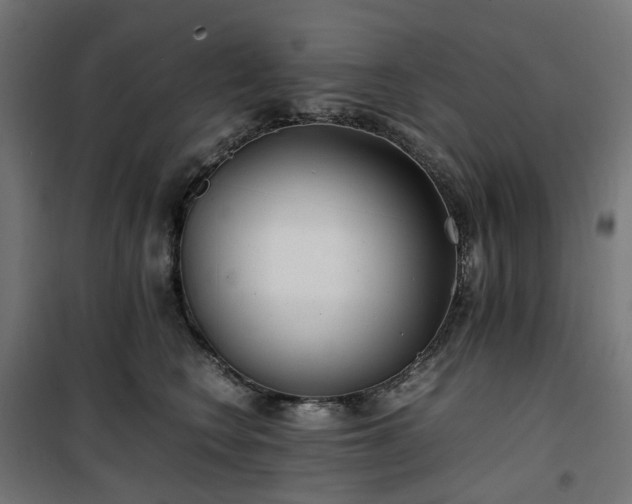 X0000100490566200806201655