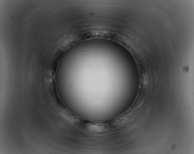 X0000100490567200806201655