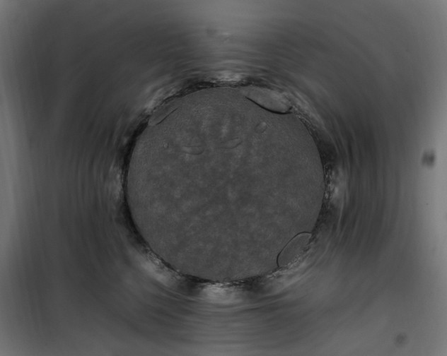 X0000100490568200806201655