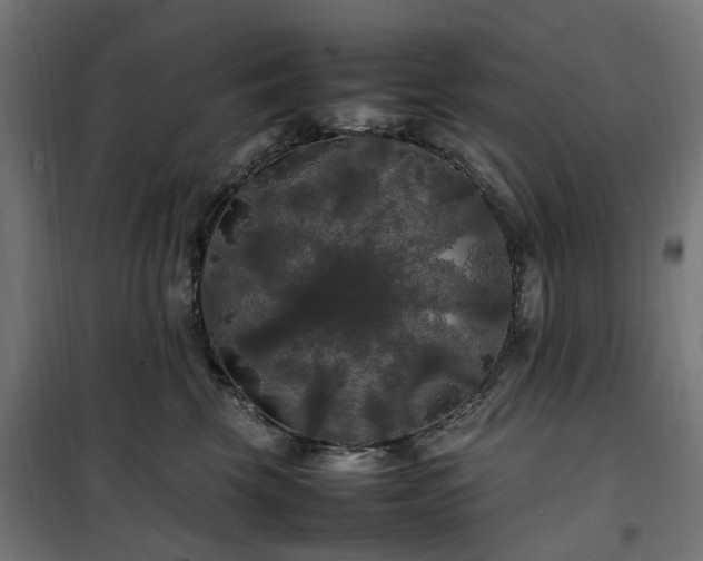 X0000100490569200806201655