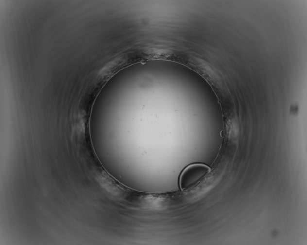 X0000100490570200806201655