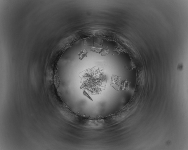 X0000100490571200806201655