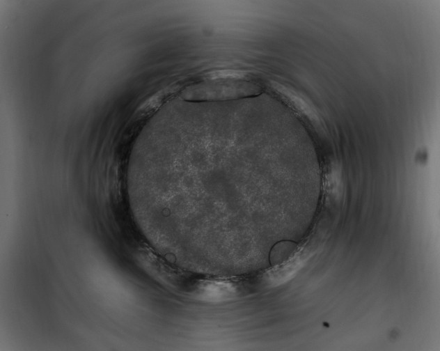 X0000100490572200806201655