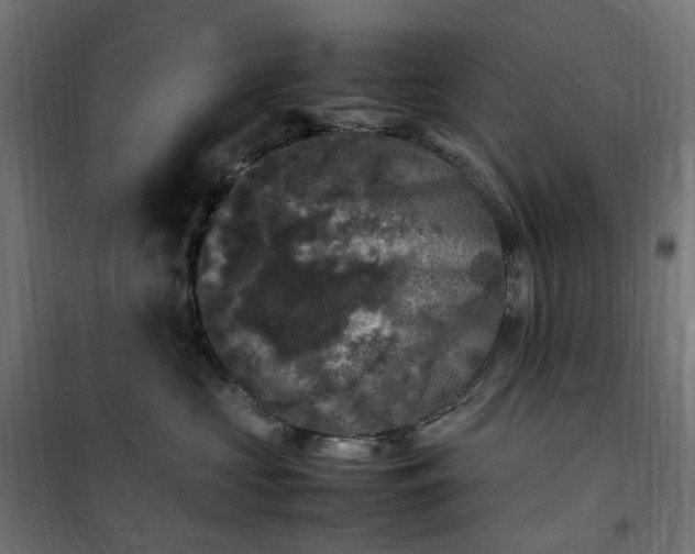 X0000100490573200806201655