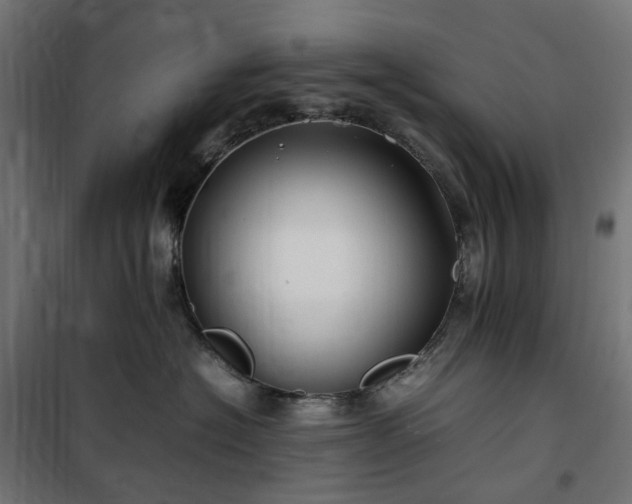 X0000100490574200806201655