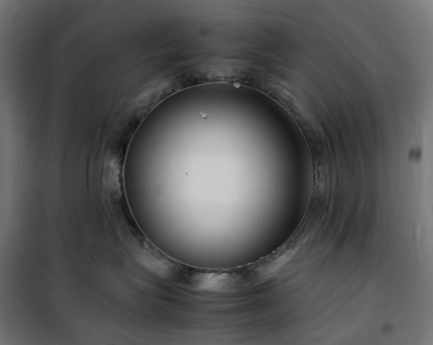 X0000100490575200806201655