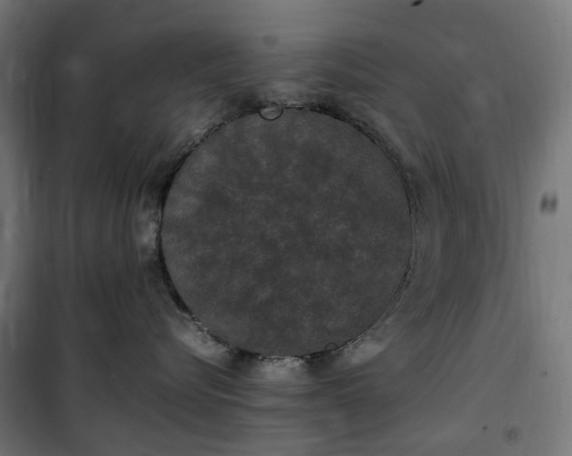 X0000100490576200806201655