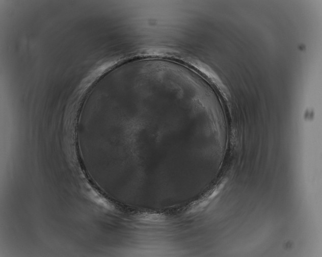 X0000100490577200806201655