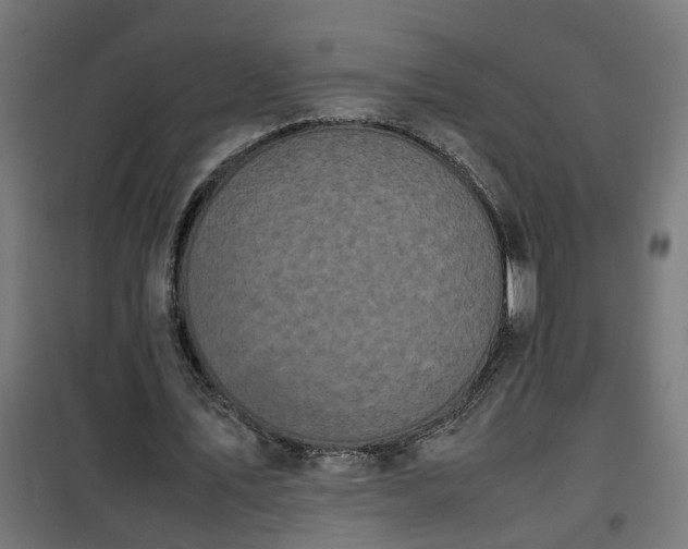X0000100490579200806201654
