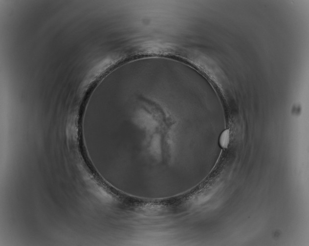 X0000100490581200806201654