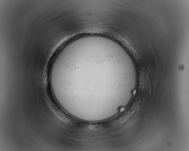 X0000100490584200806201654